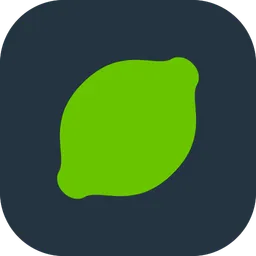 Lime Launcher icon